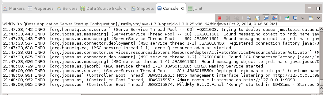 Embedded Server Start