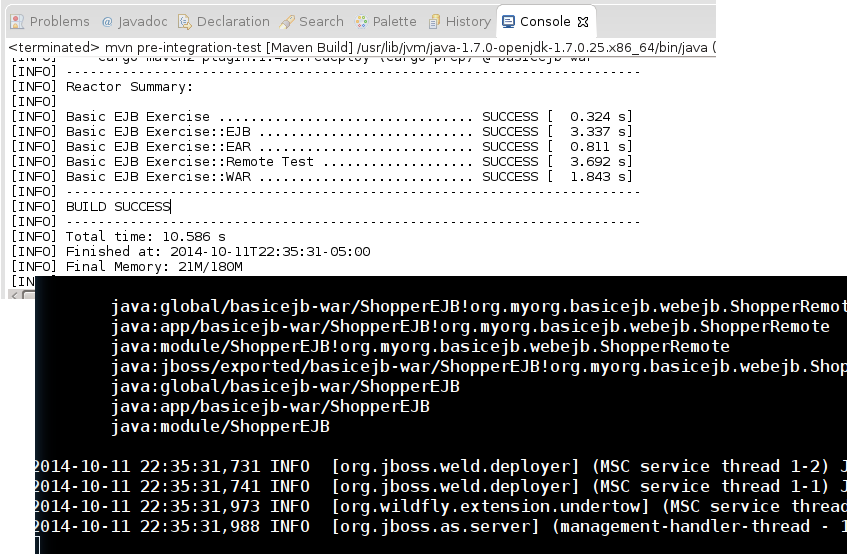 Maven Build Run Output